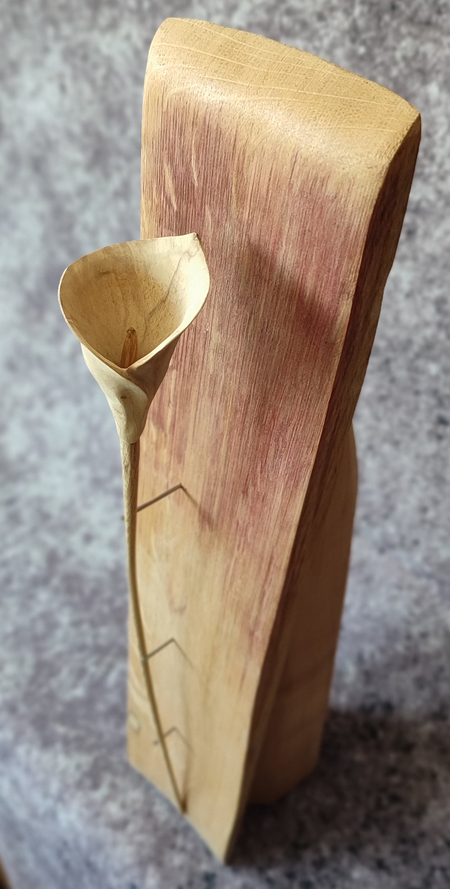 Nature artist Norfolk reclaim wood