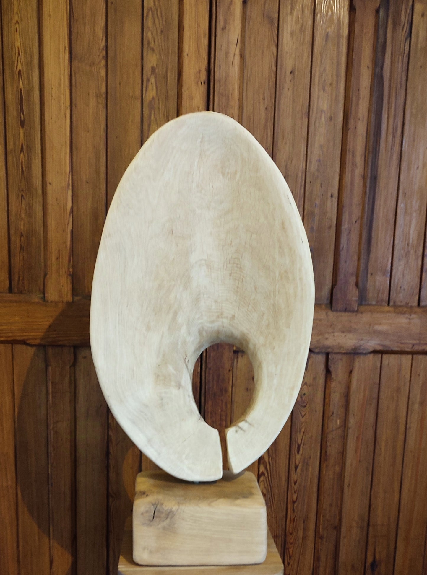 Fractum testa (sold) commissions welcome