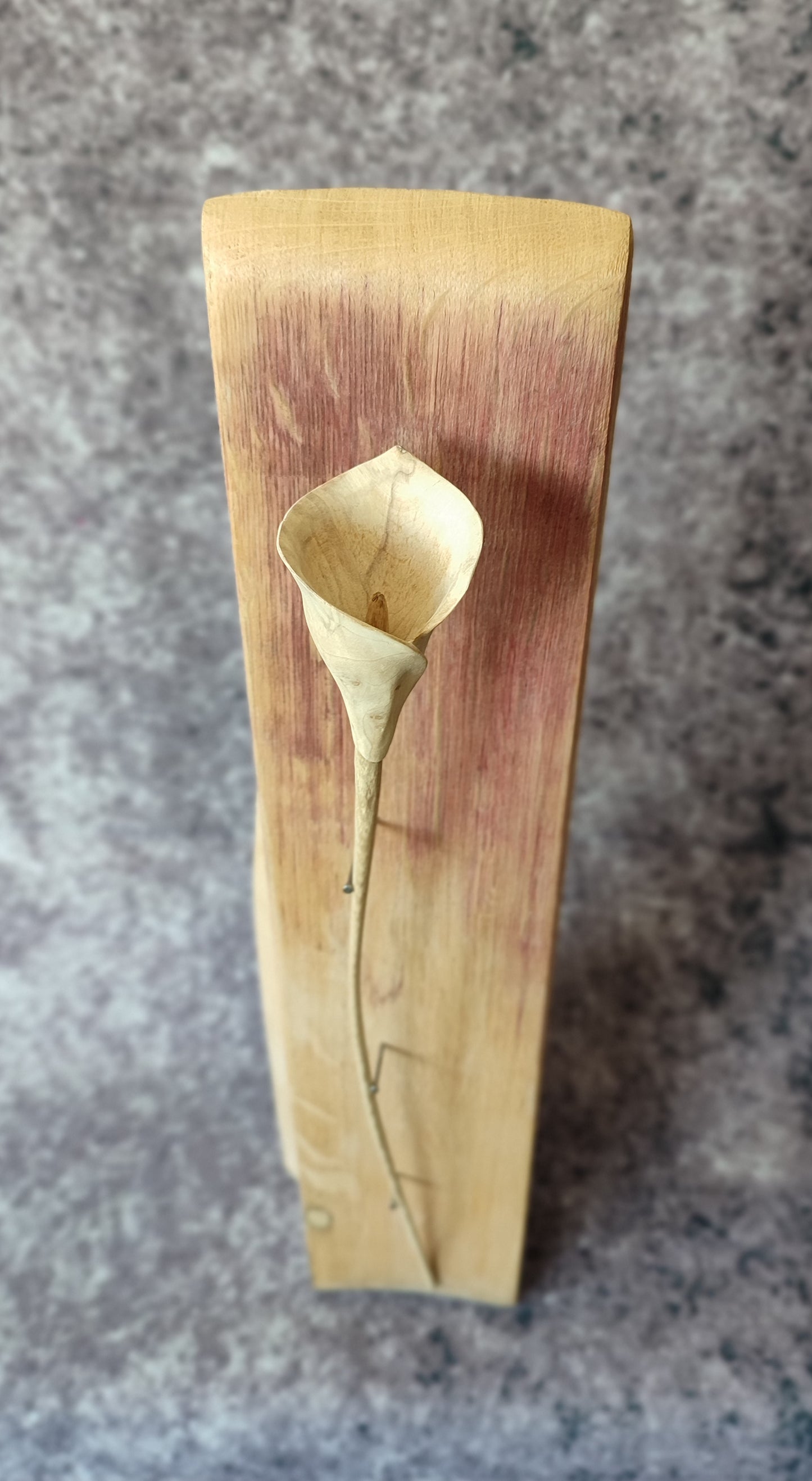 Field maple, Forever Flower