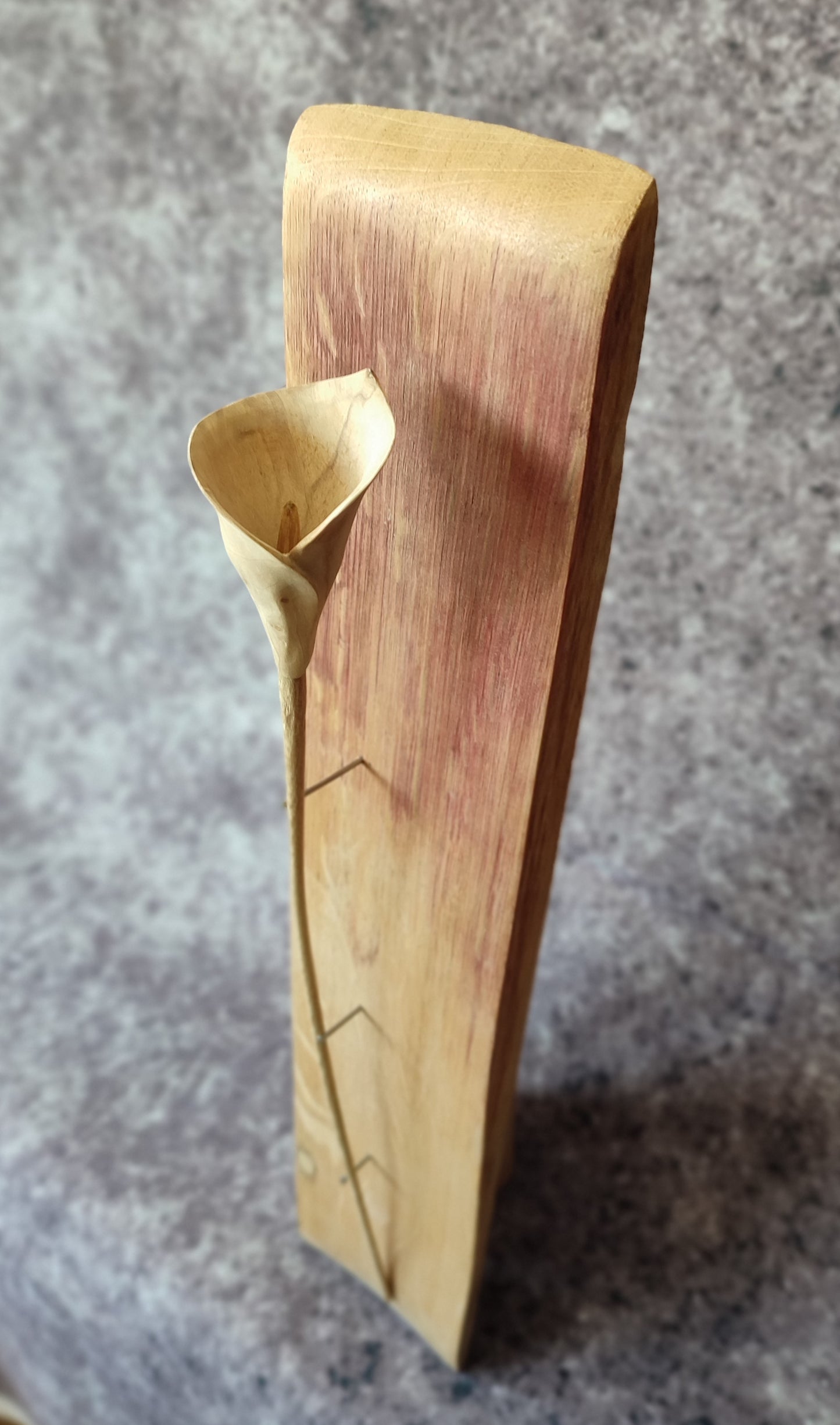 Field maple, Forever Flower