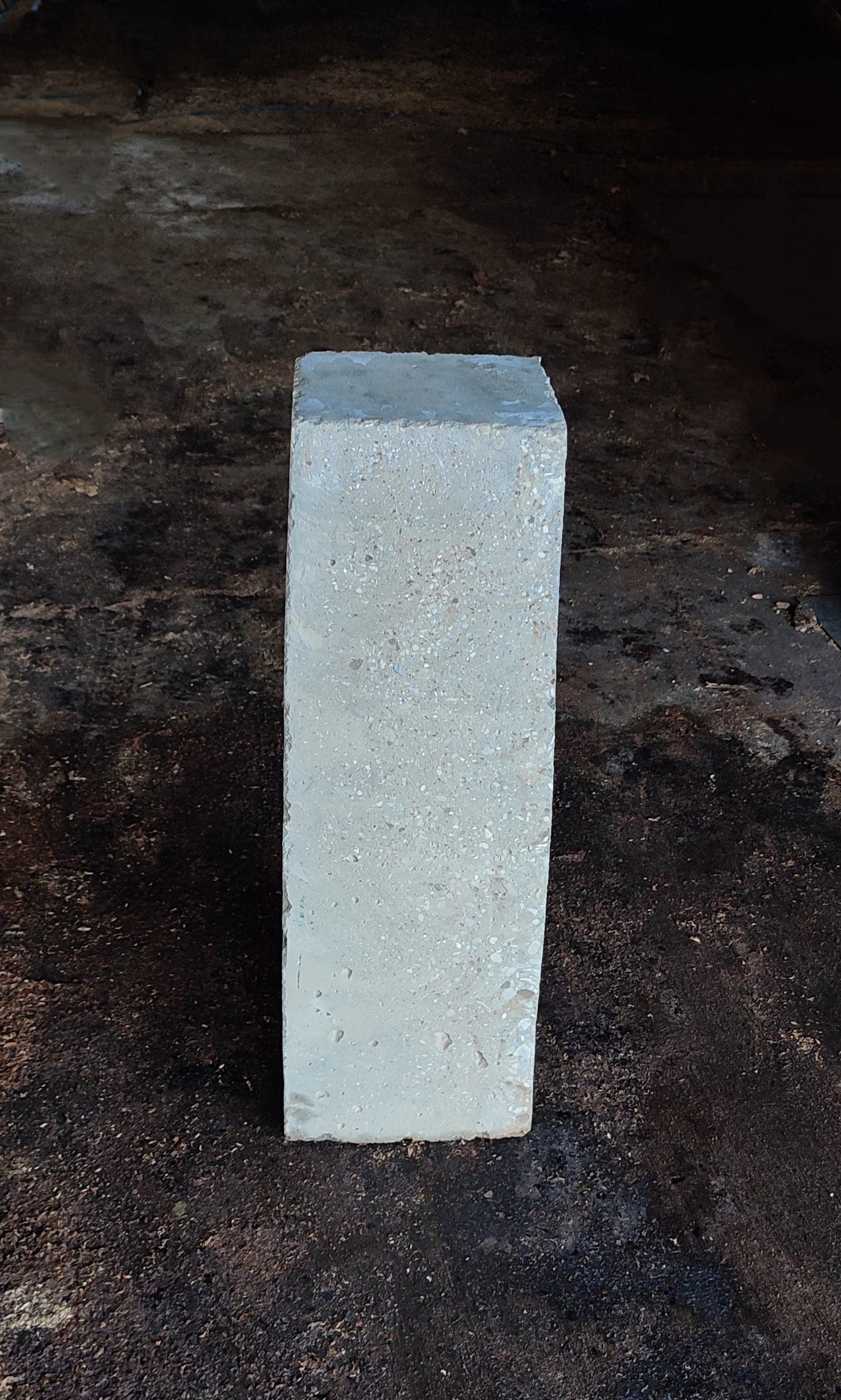 Oak shell
