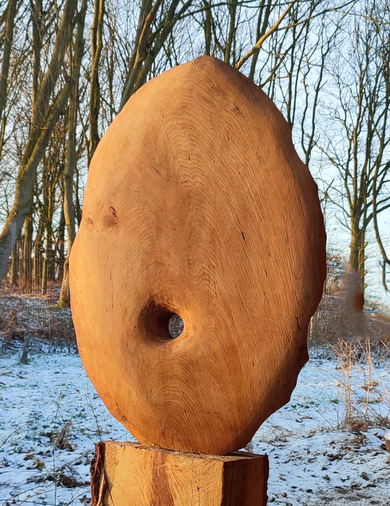 Oak shell